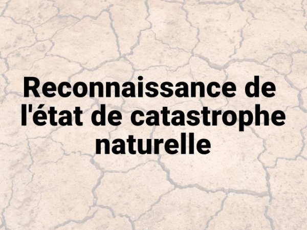 La commune de Saint-Morillon est reconnue en état de catastrophe naturelle